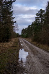 Landschaft im Frühjahr