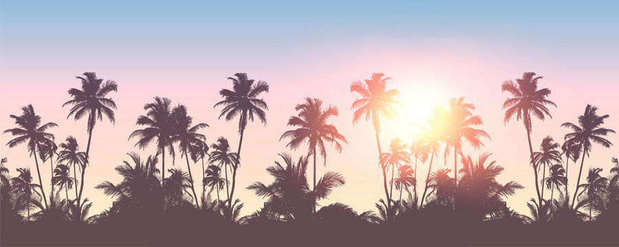romantic palm tree silhouette background on a sunny day summer holiday design