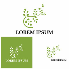 Moringa leaf logo illustration vector design