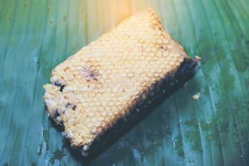 Fresh honeycomb or Beehive from a nature for cooking. Local food in the north of Thailand.