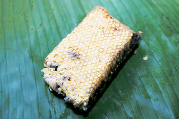 Fresh honeycomb or Beehive from a nature for cooking. Local food in the north of Thailand.