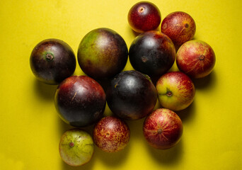 Fruits of Camu Camu (Myrciaria dubia), grows on the banks of the rivers of the Amazon, is very common in the markets, also used for the preparation of soft drinks, desserts and liqueurs, has a very pl