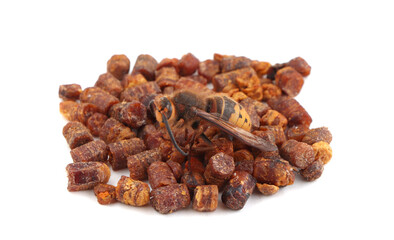 Bee bread isolated on a white background. Pile of granules bee bread isolated. Scattered Perga
