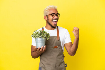 Young Colombian man holding a plant isolated on yellow background celebrating a victory