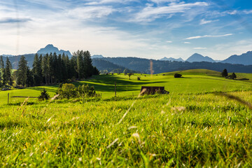 Panoramic view of beautiful sunny landscape in the Alps with fresh green meadows
field in the front...