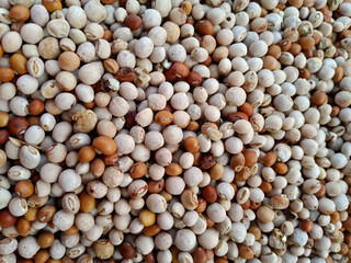 Raw pigeon peas red and white colour mix dry seeds 