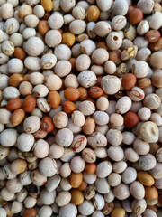 Raw pigeon peas red and white colour mix dry seeds 
