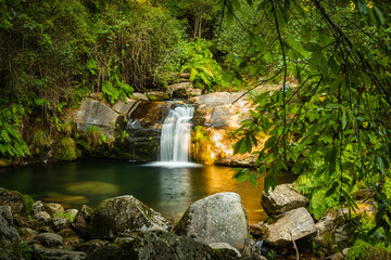 Fototapeta premium Beautiful water stream in Poço da Cilha waterfall, Manhouce, Sao Pedro do Sul, Portugal. Long exposure smooth effect. Mountain forest landscape.