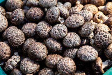 Mushrooms with a mild taste that purifies the blood and helps health,