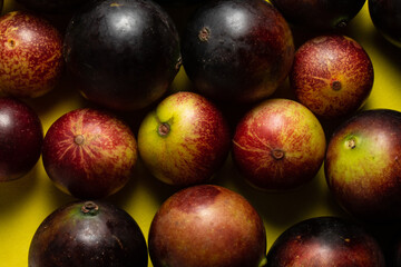 Fruits of Camu Camu (Myrciaria dubia), grows on the banks of the rivers of the Amazon, is very common in the markets, also used for the preparation of soft drinks, desserts and liqueurs