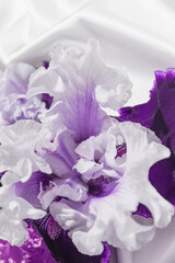 Beautiful iris flowers on white silk cloth as a background. Nature concept. Minimal style composition. Top view. Flat lay