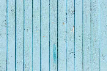Weathered bright blue unevenly painted vertical wooden wall with thirteen planks. Old light blue timber fence. Grunge hardwood texture background at blue color. Blue chipboard barn wall.