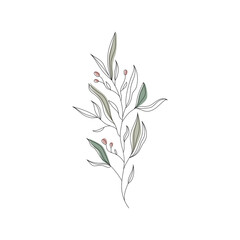 Fototapeta na wymiar Tree branch with leaf and flowers. Leaves line drawing. Abstract botanical design.