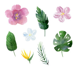 tropical pink and blue flowers and green leaves