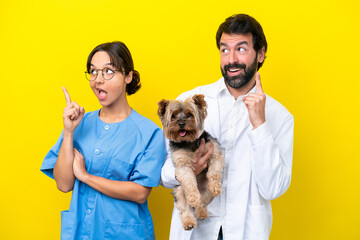 Young veterinarian couple with dog isolated on yellow background intending to realizes the solution...