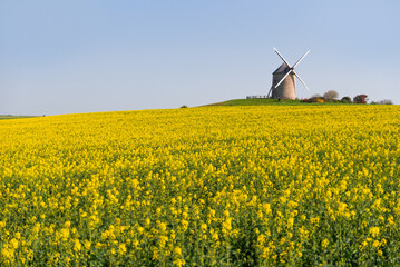 Windmill near mont saint michel in  Normandy © Rubende Antonio