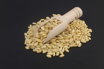Wheat and wooden scoop on black background