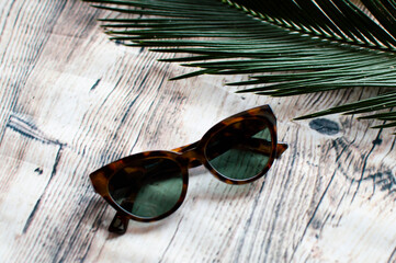 Gafas de sol junto a hoja de palmera