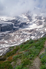 Obraz premium Misty Rainier with Wildflowers