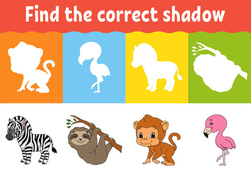 Find the correct shadow. Education worksheet. Matching game for kids. Color activity page. Puzzle for children. Animal theme. Isolated vector illustration.
