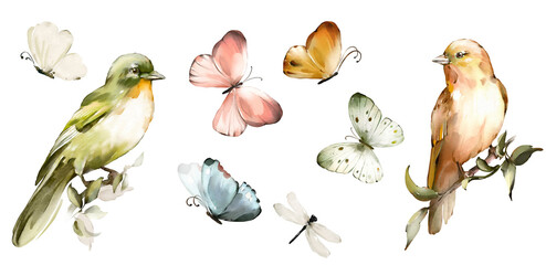 Watercolor green and yellow birds and pink butterflies. vintage set - 496316971