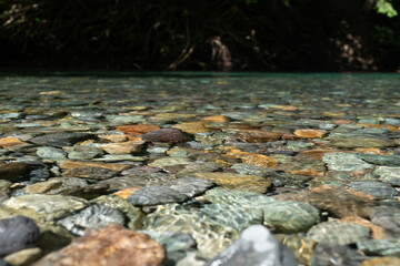 Grove of the Patriarchs Rocks