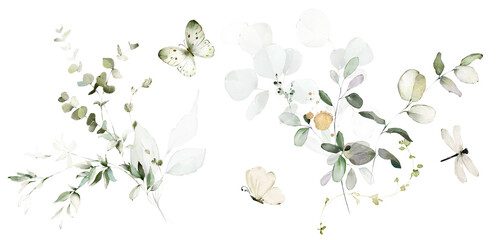 Set watercolor arrangements with garden herbs. collection leaves, branches. Botanic illustration isolated on white background. © lisima