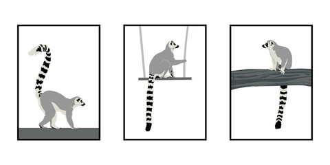 Abstract modern illustration of Ring-tailed lemur (Lemur catta), Trendy artistic vector design, Set of posters - obrazy, fototapety, plakaty