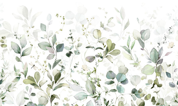 Set watercolor arrangements with garden herbs. Seamless border. Collection leaves, branches. Botanic illustration isolated on white background.