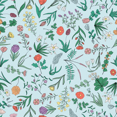 Hand drawn seamless pattern of blooming flowers and leaves. Floral colorful summer collection. Decorative doodle illustration for greeting card, wallpaper, wrapping paper, fabric, packaging