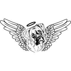 Boxer with Wings and Halo Vector