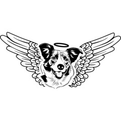 Border collie with Wings and Halo Vector