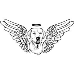 Labrador with Wings and Halo Vector