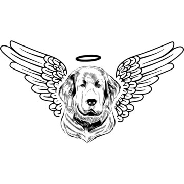 recommend clip art: Newfoundland with Wings and Halo Vector