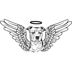 American Staffordshire Terrier with Wings and Halo Vector