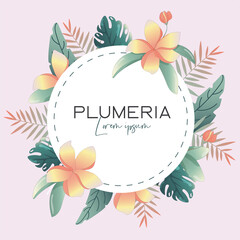 Plumeria Summer frame Vibes floral