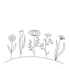 Silhouettes of wild flowers on a white background. Design for logo, flyer, brand book