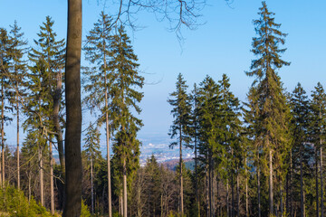 Ausblick Feldberg Taunus