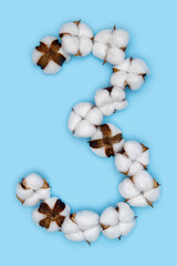 Number 3 made of cotton flowers and isolated on solid blue background. Floral numeral concept. One number of the set of cotton font easy to stacking.