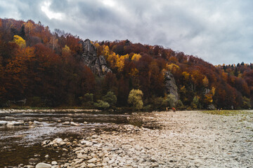 A big rock in mountain covered with trees with orange and red leaf. Autumn in the mountain. Rock with trees near to mountain river.