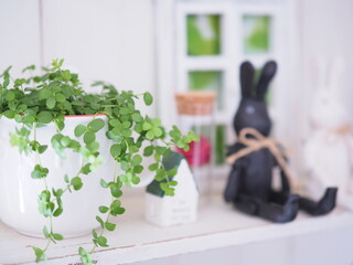 ナチュラルインテリア雑貨 観葉植物