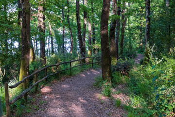 Obraz premium San Celso wood, near Bracciano, from where you can see the Bracciano lake.