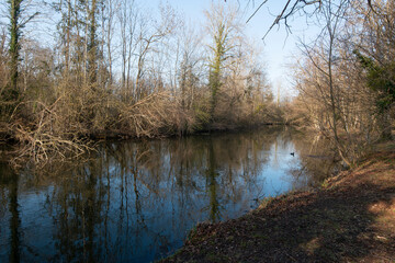 Rivière l'Essonne, Grand Montauger, Marais des Basses Vallées de l'Essonne et de la Juine, Essonne, 91