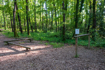 San Celso forest, near Bracciano lake, Italy