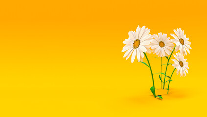 white daisy bunch on yellow background spring concept 
3d rendering