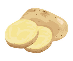 fresh potatoes vegetable
