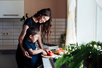 mother teaches her son to cut tomato vegetables for food