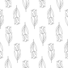 Monochrome seamless pattern with single line tulip flowers drawings. Endless floral background.