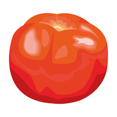 fresh tomatoe vegetable