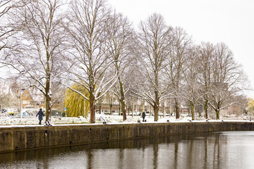 Reflecting trees in Leidsche Rijn canal covered in snow with winter barren branches